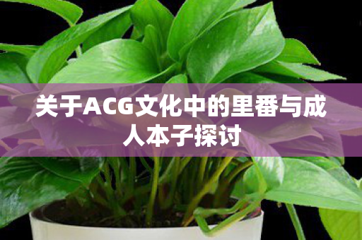 关于ACG文化中的里番与成人本子探讨图片