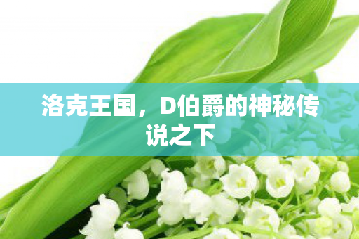 D伯爵的神秘传说之下图片