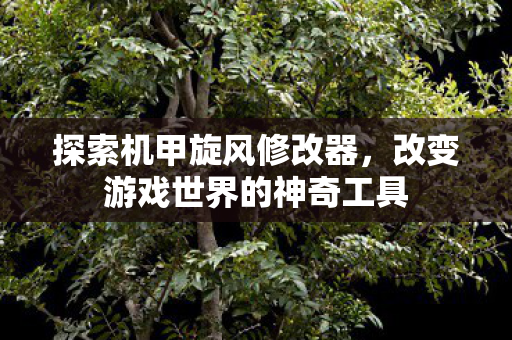 改变游戏世界的神奇工具图片