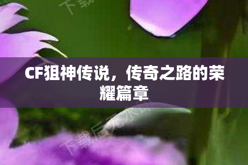 传奇之路的荣耀篇章图片