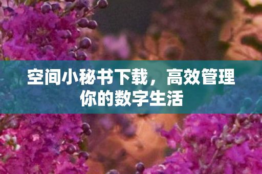 高效管理你的数字生活图片