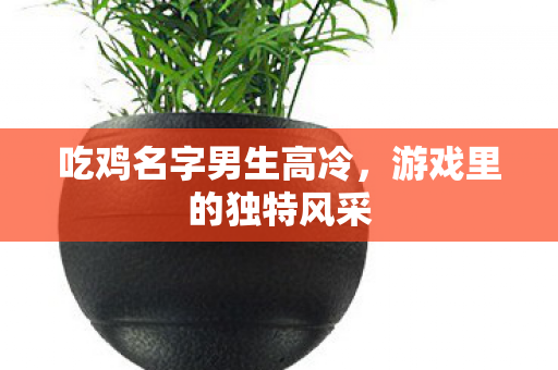 吃鸡名字男生高冷图片