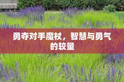 智慧与勇气的较量图片