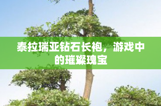 泰拉瑞亚钻石长袍图片