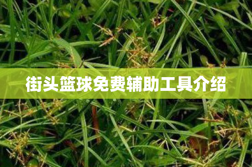 街头篮球免费辅助工具介绍图片