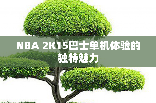 NBA 2K15巴士单机体验的独特魅力图片
