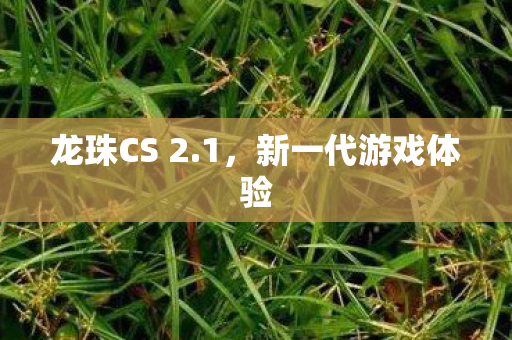 新一代游戏体验图片