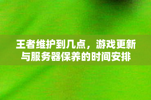 游戏更新与服务器保养的时间安排图片