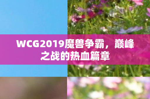 WCG2019魔兽争霸图片