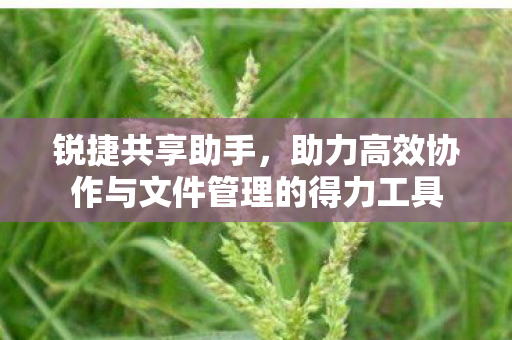 助力高效协作与文件管理的得力工具图片