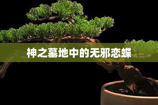 神之墓地中的无邪恋蝶图片