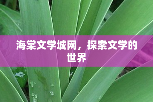探索文学的世界图片