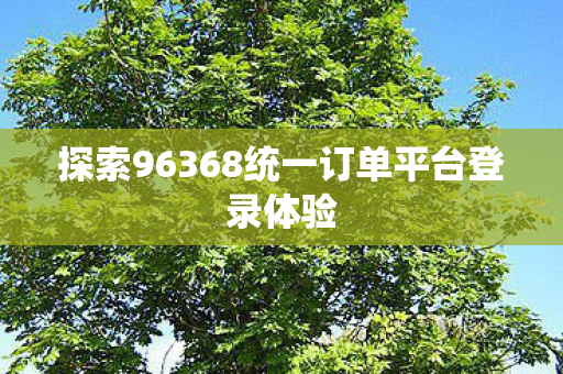 探索96368统一订单平台登录体验图片