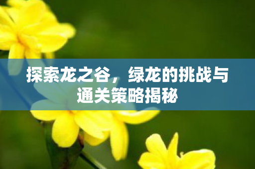 绿龙的挑战与通关策略揭秘图片