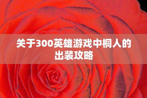 关于300英雄游戏中桐人的出装攻略图片