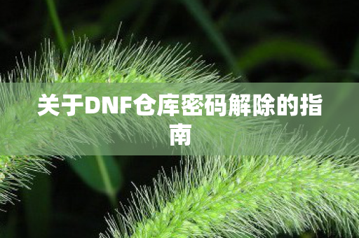 关于DNF仓库密码解除的指南图片