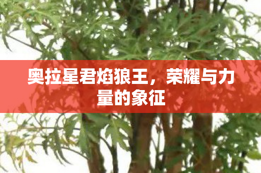 荣耀与力量的象征图片
