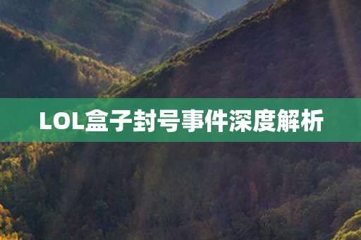 LOL盒子封号事件深度解析图片