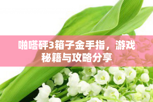 啪嗒砰3箱子金手指图片