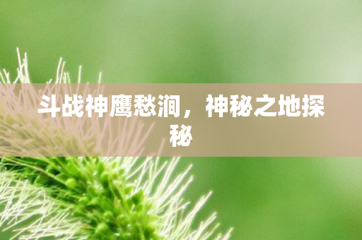 斗战神鹰愁涧图片