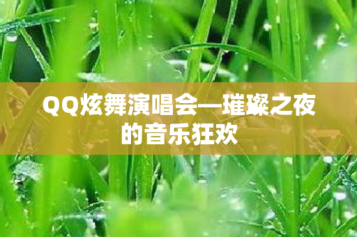 璀璨之夜的音乐狂欢图片