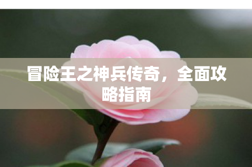 冒险王之神兵传奇图片