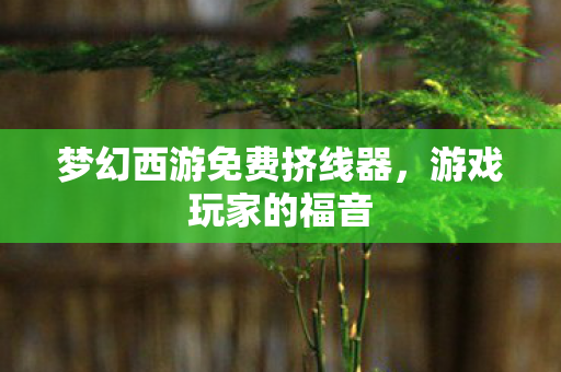 梦幻西游免费挤线器图片