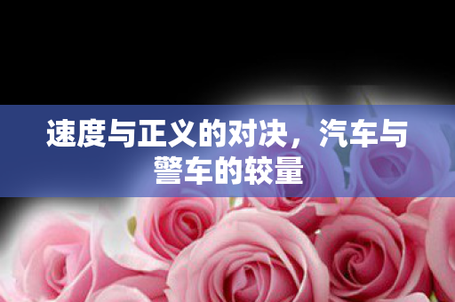速度与正义的对决图片