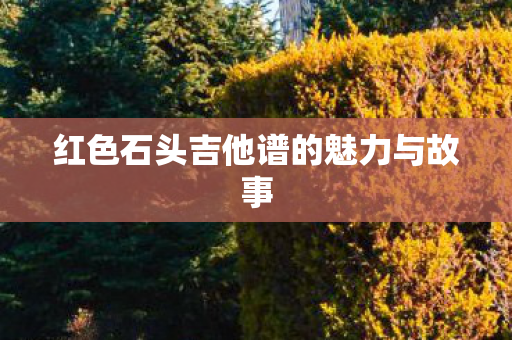 红色石头吉他谱的魅力与故事图片
