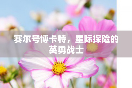 星际探险的英勇战士图片