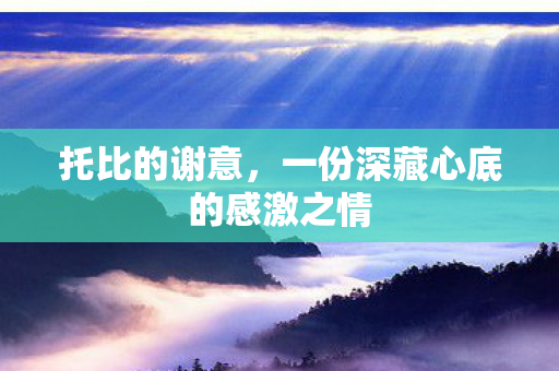 一份深藏心底的感激之情图片