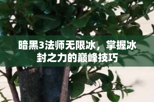 掌握冰封之力的巅峰技巧图片