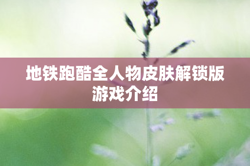地铁跑酷全人物皮肤解锁版游戏介绍图片