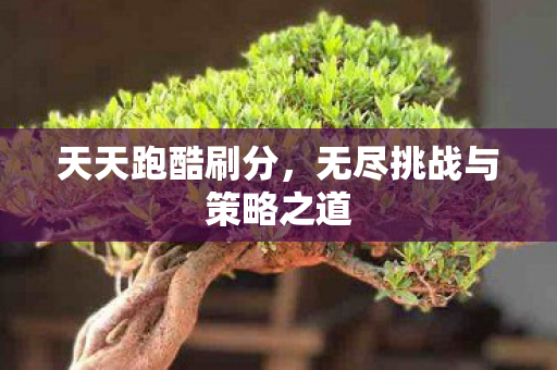 无尽挑战与策略之道图片