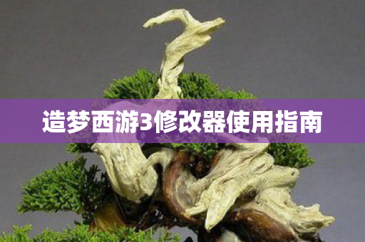 造梦西游3修改器使用指南图片