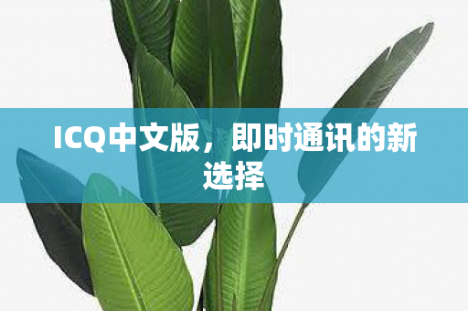 即时通讯的新选择图片
