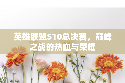 英雄联盟S10总决赛图片