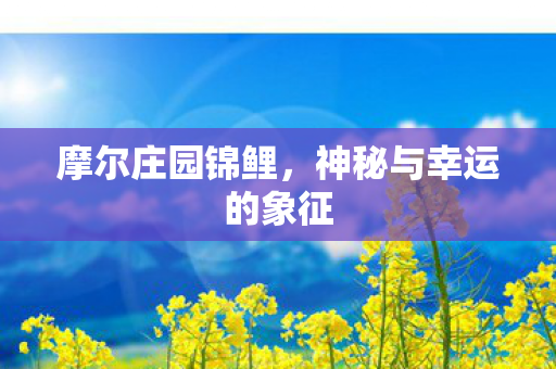 神秘与幸运的象征图片