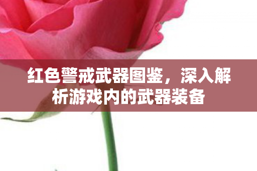 深入解析游戏内的武器装备图片