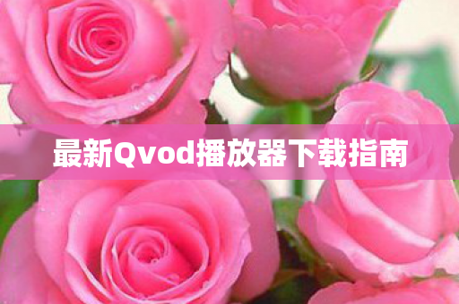 最新Qvod播放器下载指南图片