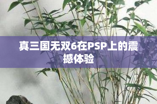 真三国无双6在PSP上的震撼体验图片