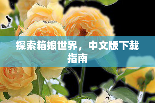 中文版下载指南图片