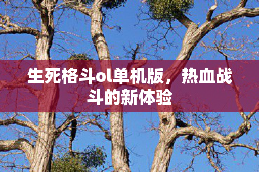 生死格斗ol单机版图片