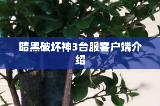 暗黑破坏神3台服客户端介绍图片