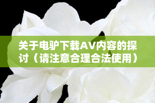 关于电驴下载AV内容的探讨图片