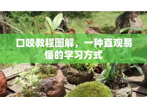 一种直观易懂的学习方式图片