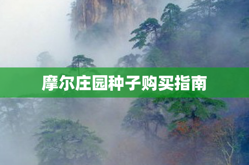 摩尔庄园种子购买指南图片