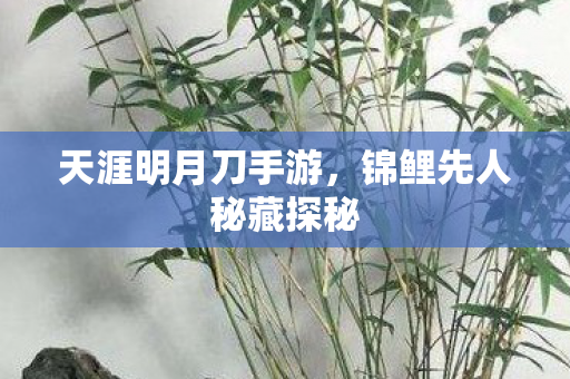 锦鲤先人秘藏探秘图片
