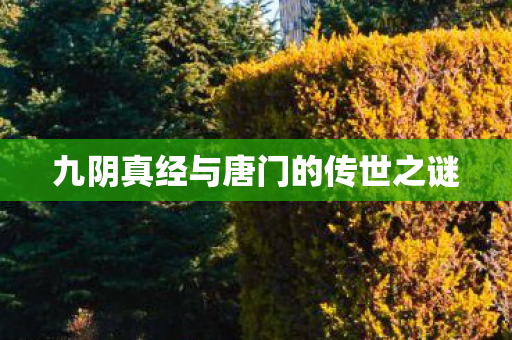 九阴真经与唐门的传世之谜图片