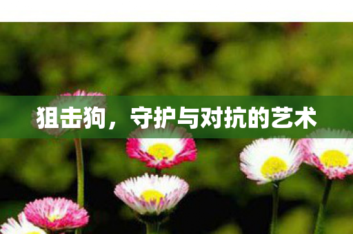 守护与对抗的艺术图片